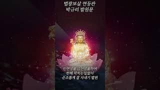 법광보살 연등관 박규리 발원문