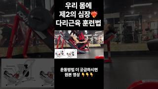 제2의 심장인 다리근육강화운동법,100세건강운동법,다리운동법,다리강화근력운동 #운동 #fitness #운동상식