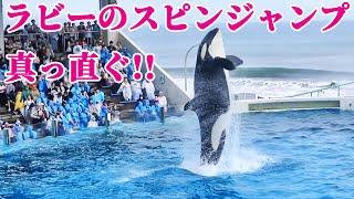 天才シャチ「ラビー」のスピンジャンプが美しすぎる!! 鴨川シーワールド シャチショー KamogawaSeaWorld  orca killerwhale