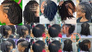 Extremely Stylish & Unique Natural Twist Braids Hairstyles for African American Women~Twist Braids