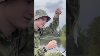 Маленькая или нет? #рыбалка #риба #рыба #рыбак #рибалка #риболов #fish #fishing #природа #плотва