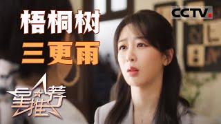 《星推荐》许龄月 承欢的嫡长蜜角色立住了！20240422【CCTV电视剧】