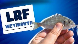 Weymouth LRF Fishing - Inc Mackerel, Garfish and Gilthead Bream!