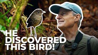 Spotting the Cundinamarca Antpitta with Peter Kaestner