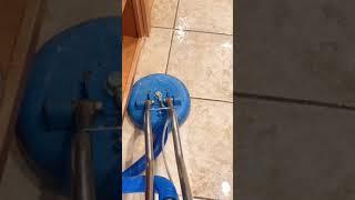 carpet cleaning land o lakes