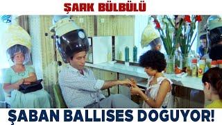 Şark Bülbülü Türk Filmi | Şaban Ballıses Doğuyor! Kemal Sunal Filmleri