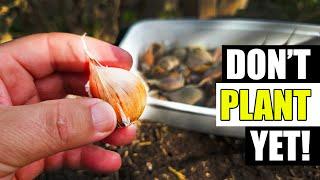 When To Plant Garlic? Garden Quickie Episode 218