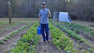 This Gardening Method is Game Changing