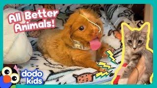 Bubble Puppy And Electricity Kitty Are Gonna Get All Better! | Dodo Kids | All Better