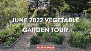 June 2022 Vegetable Garden Tour