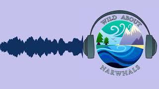 Wild About the Narwhals Wake with Ian Rowan - S1 E1