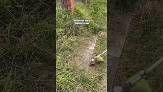 Could you watch this all day? Lawnmower Man “likes to be watched” #satisfying