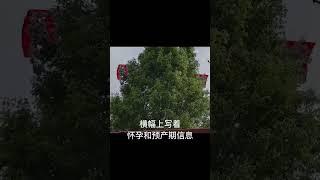 这个宝宝性别揭示，太疯狂了