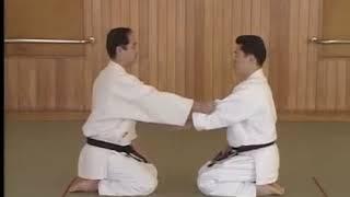 Aikido Yoshinkan (guía técnica) 3