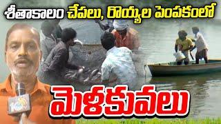 శీతాకాలం చేపలు, రొయ్యల పెంపకంలో మెళకువలు | Fishing and Aquaculture | Matti Manishi | 10TV