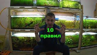 10 правил для 100% разведения рыбок