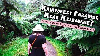 Yarra Valley & Dandenong Ranges | Day Trip Ideas