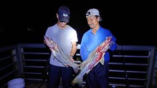 Fishing at Sebastian Inlet to catch a shark but failed? (Snook)