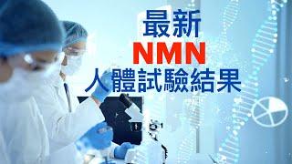 NMN安全、有效的提高人體 NAD+ 水平