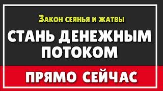 СТАНЬ ДЕНЕЖНЫМ ПОТОКОМ прямо СЕЙЧАС | Секрет Робинзона Крузо