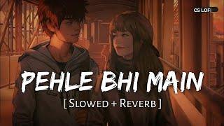 Pehle Bhi Main (Slowed + Reverb) | Vishal Mishra | Animal | CS Lofi | Bollywood Song | #triptidimri