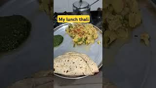 What is in my today's lunch thali #lunchthali #lunchbox #lunch