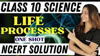 LIFE PROCESSES || NCERT SOLUTION || ONE SHOT || CLASS 10 || SCIENCE || KRUSHI MA'AM