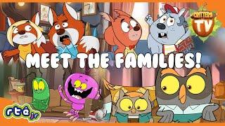 Meet the Animal Families on Critters TV! ️  | Compilation | @RTÉjr