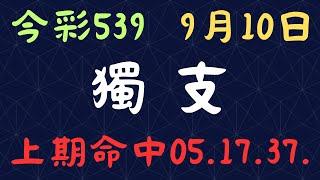 今彩539｜獨支｜少年狼539｜9月10日｜上期命中05.17.37.