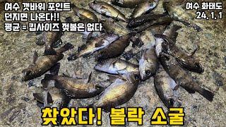 볼락 워킹 낚시 - 새해 볼락들이 퍽퍽하는 포인트