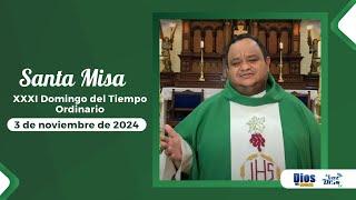 Santa Misa de 18/08/24 - "El Señor viene en auxilio de nuestra debilidad"