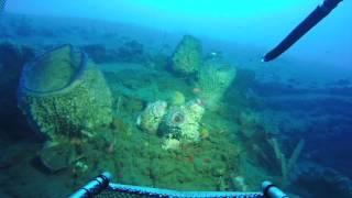 Dominica Reef from the Curasub