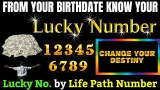 Lucky Numbers Based on Your Life Path Number! How to Use Numerology for Success and the Lottery 