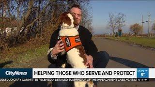 Service dogs to help first responders who suffer from PTSD