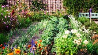 Planning a Vegetable Garden for Beginners: The 5 Golden Rules 