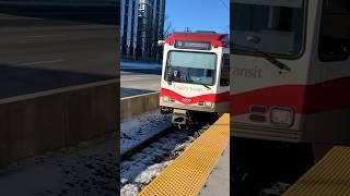 SD160 Series 5/6 At Dalhousie STN #2237 #2248 #2231 #transit #train #fypシ #fyp #shorts #short #viral