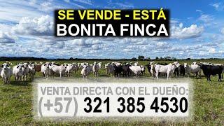 SE VENDE - ESTÁ BONITA FINCA "GANADERA" - Venta directa con el dueño: (+57) 321 385 4530