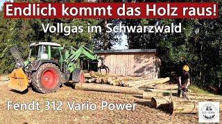 Endlich kommt das Holz raus! Vollgas im Schwarzwald - Fendt 312 Vario Power