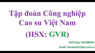 Tập đoàn Công nghiệp Cao su Việt Nam (HSX: GVR)