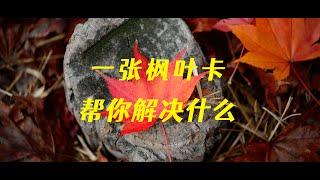 一张枫叶卡可以帮你解决什么问题？