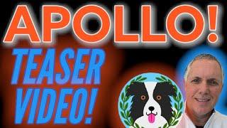 APOLLO INU - NEW TEASER VIDEO RELEASED! APOLLO INU CRUSHING IT!