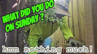 The Wonderful Truth About Being a Gardener on Sundays