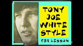 Tony Joe White Style On A 3 String Cigar Box Guitar #cbg #cigarboxguitar #cigarboxguitarlesson