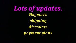 Updates, Hognoses, Shipping, Payment plans!!