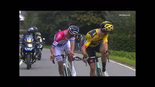 Alaphilippe Crash at Tour of Flanders 2020