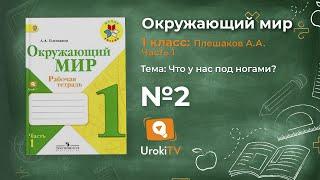 Задание 2 Что у нас под ногами? - Окружающий мир 1 класс (Плешаков А.А.) 1 часть