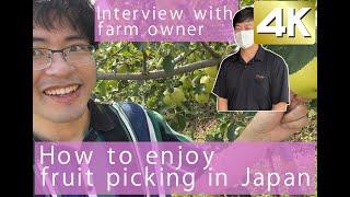 Farm owner tells us how to enjoy fruit picking in Japan(interview)