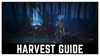 HARVEST GUIDE - Path of Exile (3.25 Settlers of Kalguur)