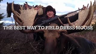 The Best Way to Field Dress a Moose in Alaska in under 30 minutes