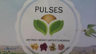 Exciting Times for Pulse Crop Growers and Consumers